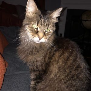 Meet your Posher, Catherine